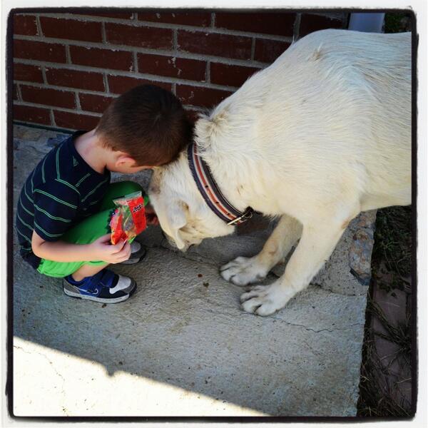Kuzumun kopek sevgisi: korkusuz ve masum...