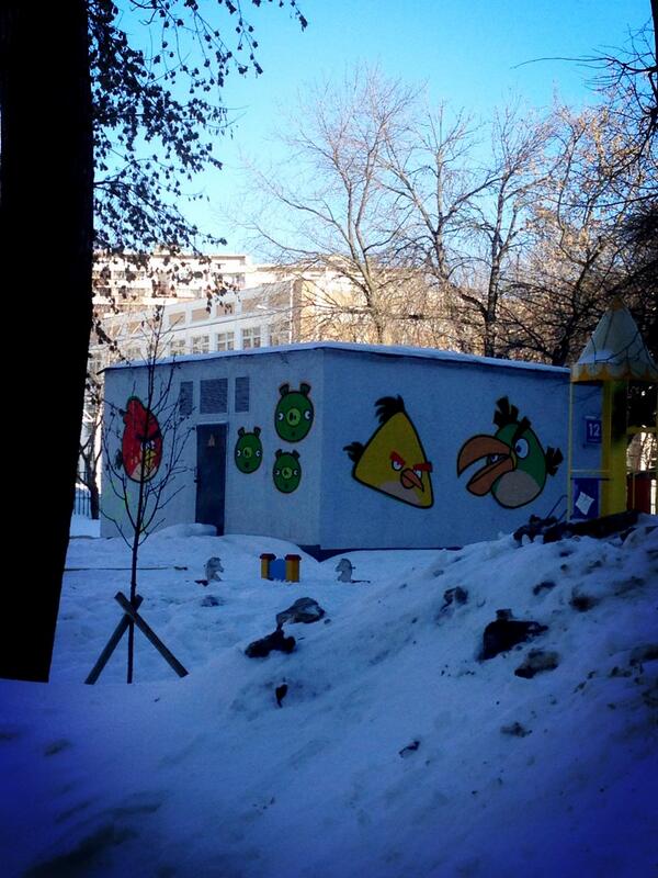 Cardinal197's tweet image. Всем птичек)