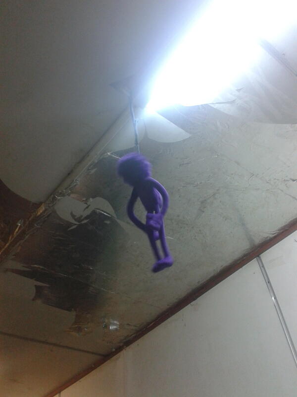 Luis97Atm's tweet photo. Piguiiiiii http://t.co/vYbq5P0d5B