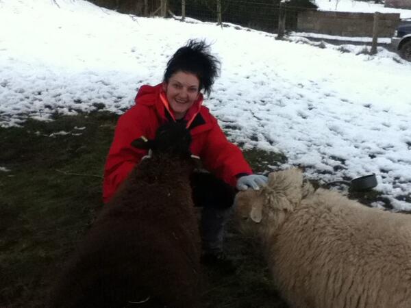 Ch74281's tweet photo. Day on the farm #lovinthesheep http://t.co/m2lIPBFwc3