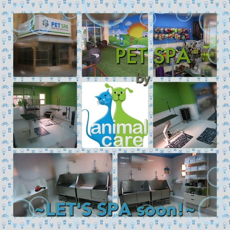 Animal Care Kuwait on Twitter "PET SPA, lets SPA soon! Call us to book