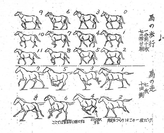 最良かつ最も包括的な動物 走る アニメーション