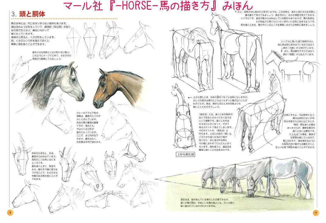 マール社 בטוויטר マール社４月新刊情報 ペガサスや騎士 貴婦人の乗馬 西部劇などを描きたい方にもオススメ 骨格 生態 バランスがわかる ｈｏｒｓｅ やさしい馬の描き方 ４月８日頃発売です ミ ﾋﾋｨｰﾝ Http T Co Gjfsroejex