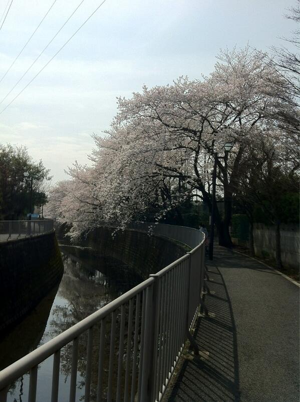 きみのひとみ tweet media