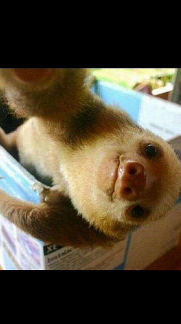 RatchetSloth's tweet photo. #tbt Me as a youngin http://t.co/uAjOXx29gI