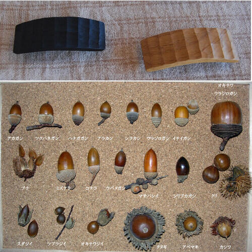 Twitterで画像を見る Twitterで画像を見る