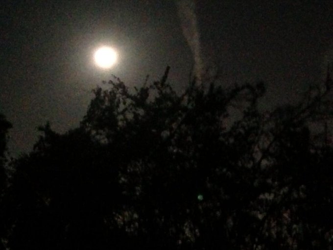 Full Moon Meditation 🌕❤✨ http://t.co/SHEApq5vId<a href="/tag/schooldance"class="tags"><span>#schooldance</span></a>
