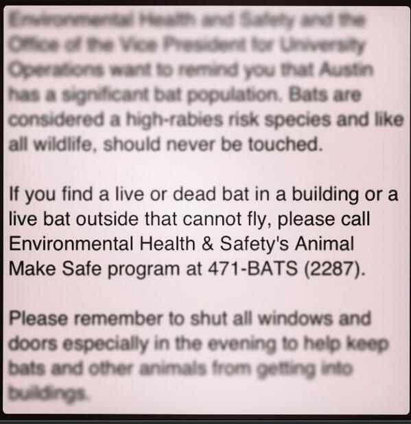 TexasNeu's tweet image. We&apos;ve got bats y&apos;all #UTexasProblems #HideYoKids #DeadOrAlive?!
