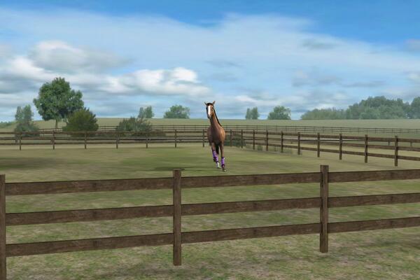 Jose98HOYOS's tweet photo. Mira mi foto! Add me, Sillyjose. #MyHorse http://t.co/UTEV6LsGbK http://t.co/PA9FWqDE1p