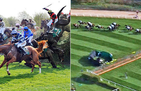 PawsForAll's tweet photo. #ENDGrandNational THIS is Dooneys Gate.He fell &amp; died instantly on the racecourse. He was described as an "obstacle" http://t.co/cuWAk3JWh3