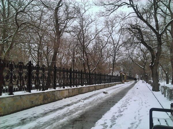 la_161's tweet photo. весеннее настроение http://t.co/4LEkDadLAb