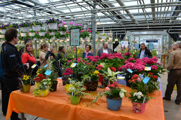 Yesterday NC had a group of delegates visit from the Association of Business Schools in the UK and tour the campus!