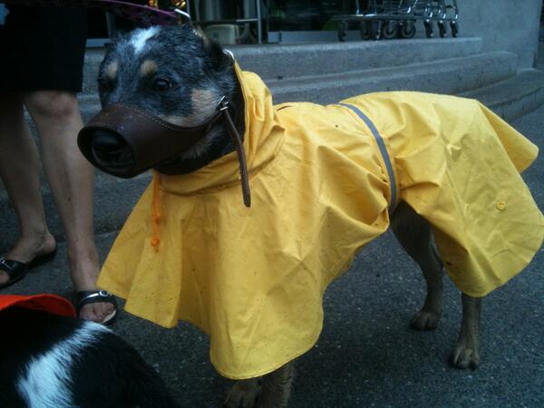 Nutellerific's tweet photo. Rocinante: http://t.co/EGlyH6YJSo
