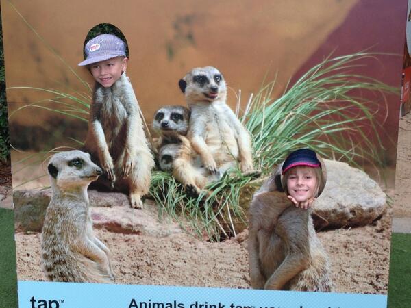My little mere cats. #tapzoomonth
