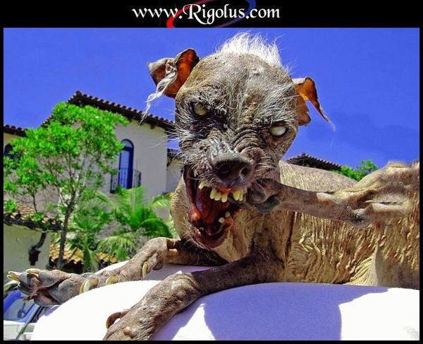 ibrahim_sanogo's tweet image. LA TETE DE OIM G TROUVER #Swity le net !