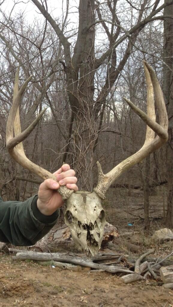 CountryLodge08's tweet photo. Hunter on way to @CountryLodge08 to pick up rack.  Shot on 10/30/2009, found on 3/4/2013..
#nevergiveup http://t.co/eiE0LsIX1R