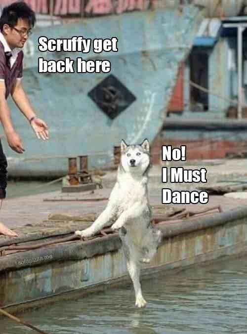 PicTimedPerfect's tweet photo. Got to dance http://t.co/RtVaprTWak