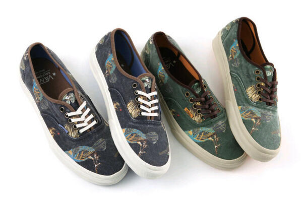 vans authentic bird