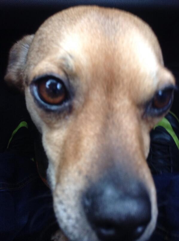 alexbenjie's tweet image. 