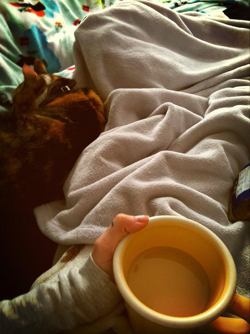 Perfect morning 💛 http://t.co/THCdMpmA9E<a href="/tag/swoon"class="tags"><span>#swoon</span></a>