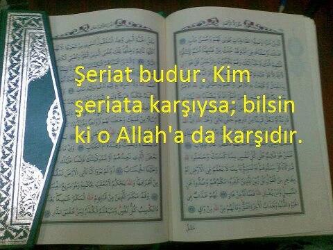 _EzeLin's tweet image. 