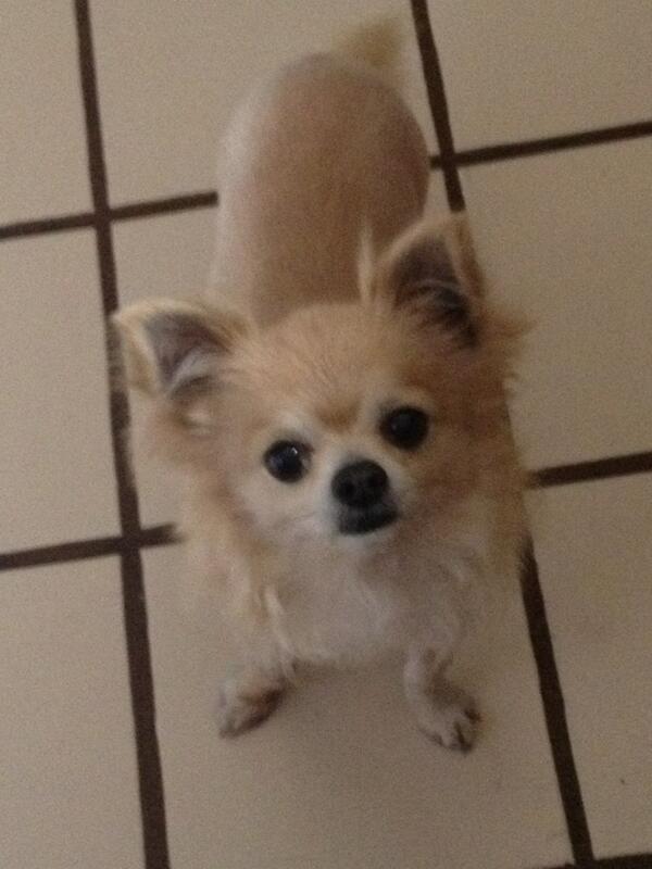 NO SE POR QUE MEMO ME OBSERVA  ASÍ ????? Jajajaja