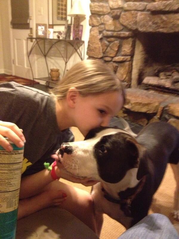 MarableMike's tweet image. Pitbulls being bad.