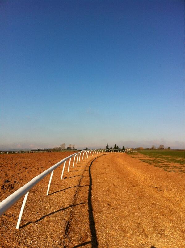 thomsymonds's tweet image. Feels Like Dubai!