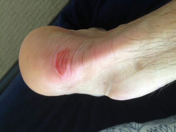 ADAM DRESCHER tweet media