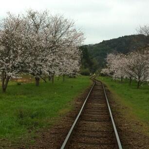 โอะนิซึกะ ฮิโรมิ (@hiromi_3rss) on Twitter photo 