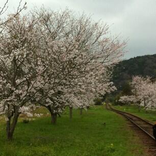 โอะนิซึกะ ฮิโรมิ (@hiromi_3rss) on Twitter photo 