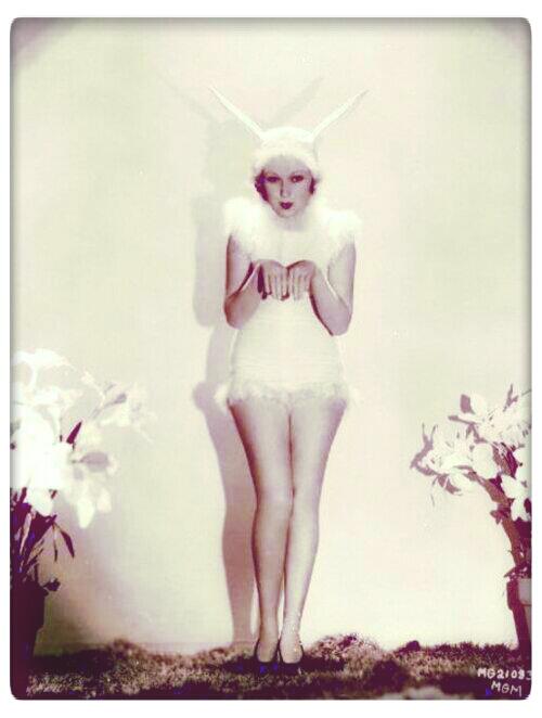 #Little#Bunny http://t.co/1G1lzpr1Qm