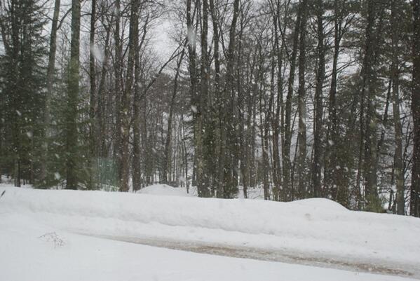 It's snowing again, it just won't quit!