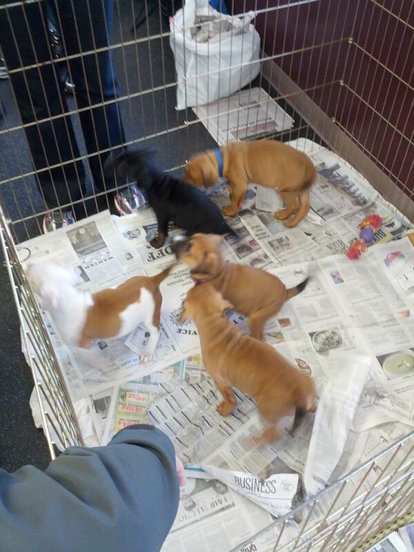 Out of the Pits tweet media