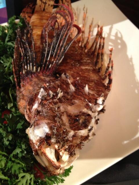 kevinolearytv's tweet image. Here is a pic of the Lion Fish after we cooked it on #SharkTank last night. Very tasty!
