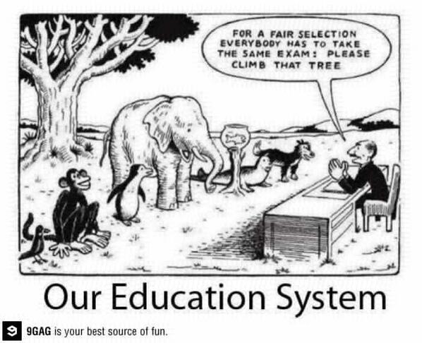Our education system