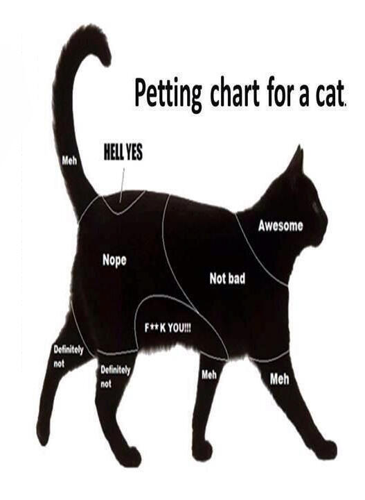 Cat Petting Chart