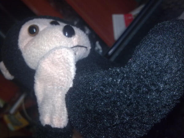 monkeymagicCL's tweet image. Nega jeil jal laga BE BROM BARATATATATA TATATATATA OMG