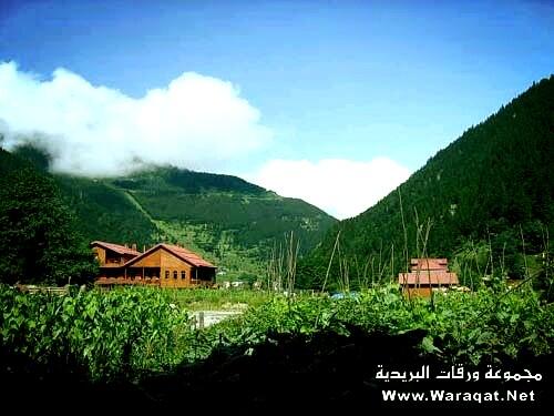ssdfsdsf199's tweet photo. @Ahmad_Alswait http://t.co/NBW89UO35g