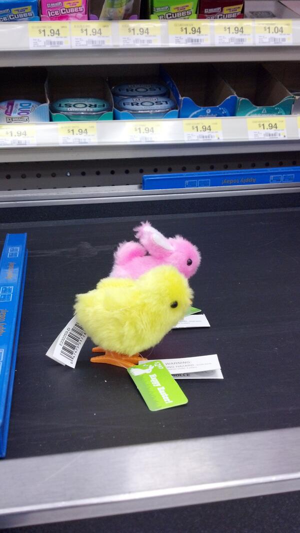 katieep4's tweet image. Chick races with my dad #pinkchick