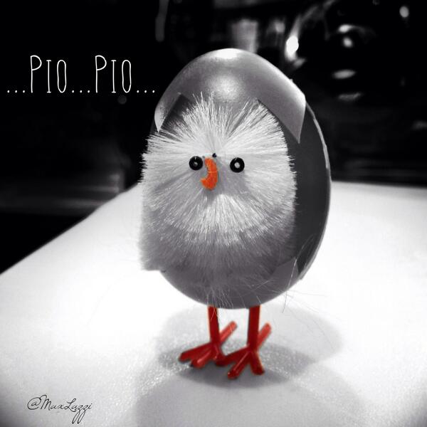Buona Pasqua dal pio pulcino!