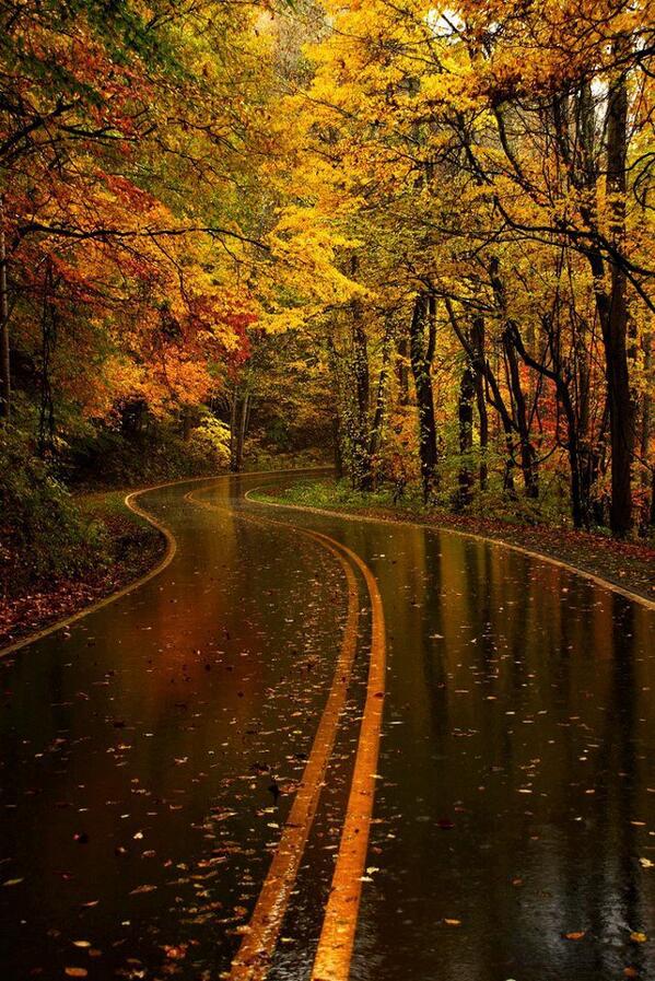 DAJJALvsISA's tweet photo. http://t.co/kw4RzjKAzq