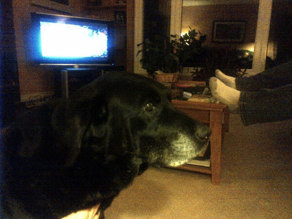 campponacka's tweet photo. #PonackaPete #cppotluck hungry for another goal?! Just like the Leafs! http://t.co/lNMhg6YjHv