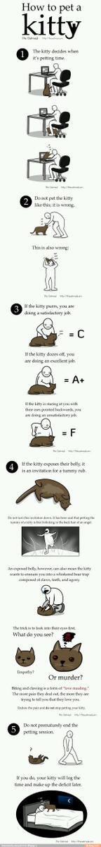 nickster16861's tweet image. How to pet a kitty 101. #methodtomadness #foolproof