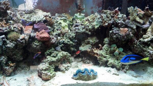 Republican_Jew's tweet image. 