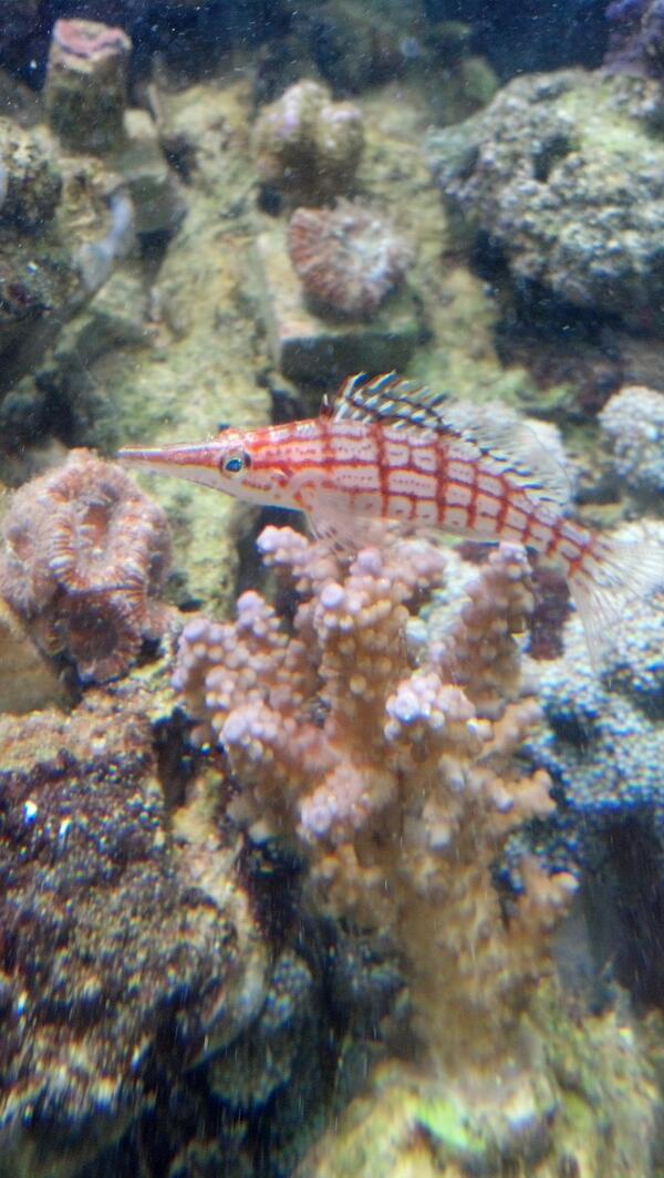 Republican_Jew's tweet image. 