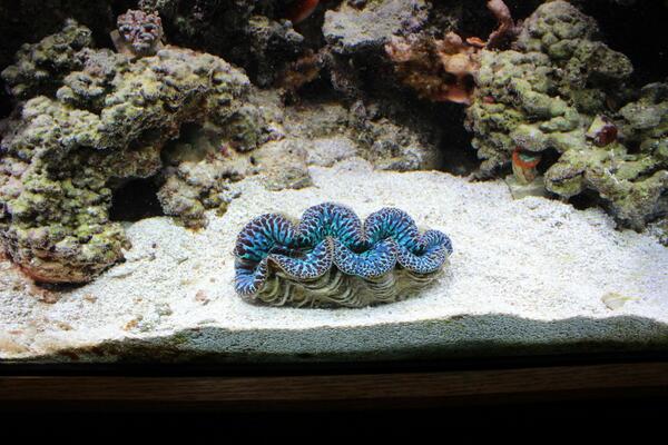 Republican_Jew's tweet image. 