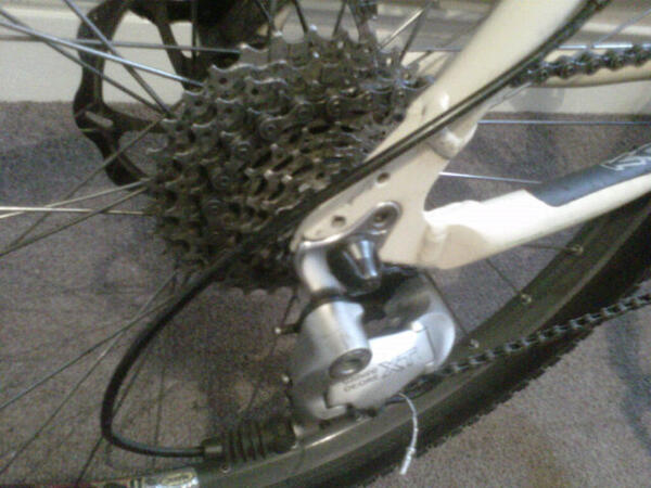 Mrlee9999's tweet image. #gleeming