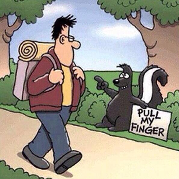 OConnells_Howth's tweet image. Sit at the bar, have a pint, then look at this!  Funny!