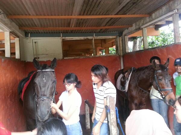 UIEquestrian's tweet image. We also learned how to tack up! #GroundClass